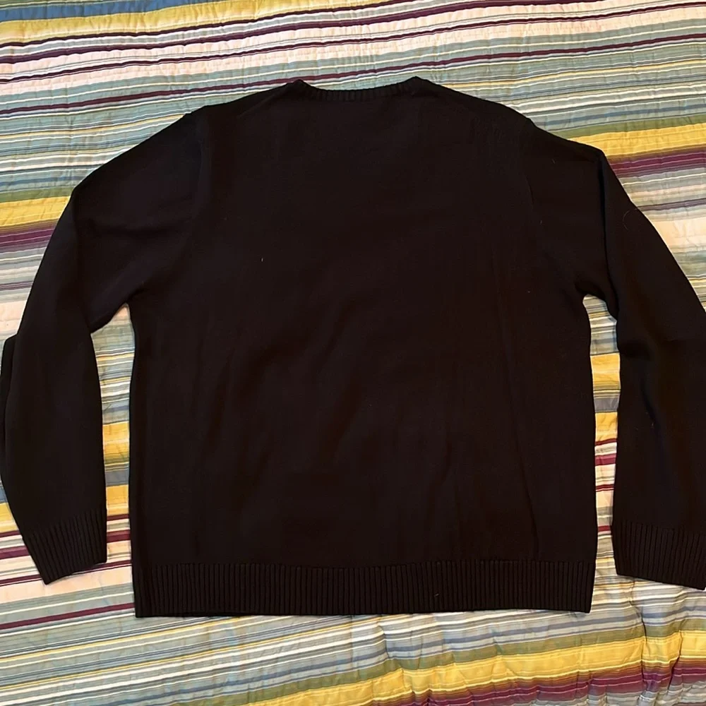 EUC J. Crew Merino wool V-neck sweater